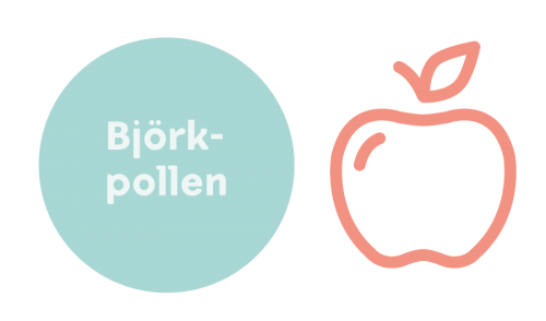 allergi timotej korsallergi