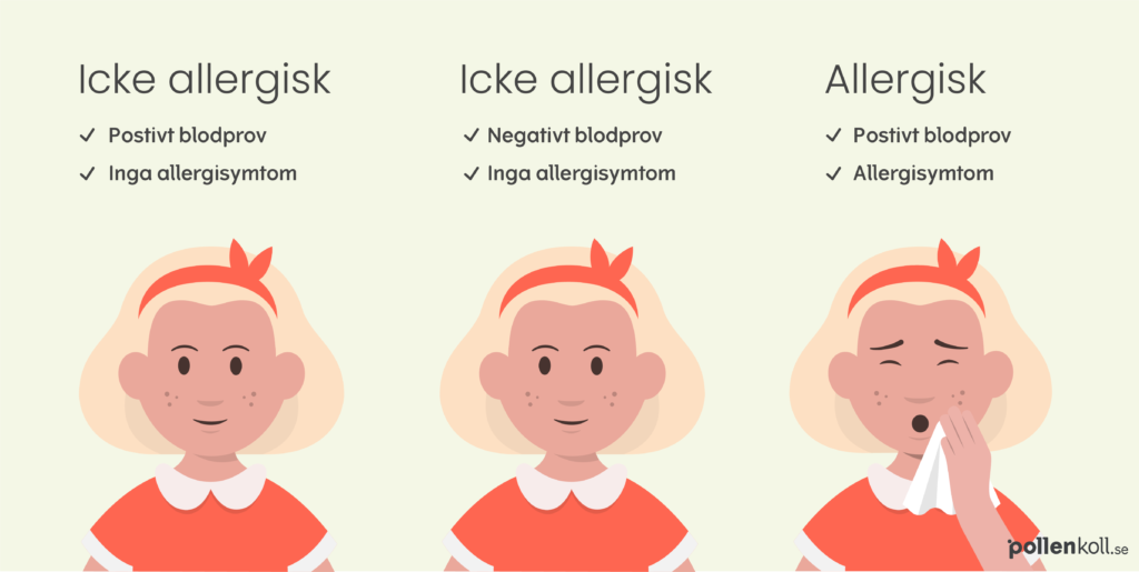 Infografik som visar skillnaden mellan att vara allergisk och sensibiliserad. Om barnet har ett positivt resultat på blodprov/pricktest utan allergisymtom är det inte allergiskt. Om barnet inte har allergisymtom och ett negativt resultat är det inte heller allergiskt. Om barnet både har allergisymtom och ett positivt pricktet/blodprovsresultat är det med stor sannolikhet allergiskt. 