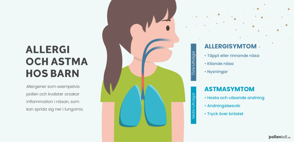 Infografik som beskriver ett möjligt samband mellan astma och allergi hos barn. Detaljer i infografiken listas nedan. 